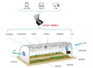 一人掌控千畝良田 LoRa物聯網技術如何重塑智慧農業新格局